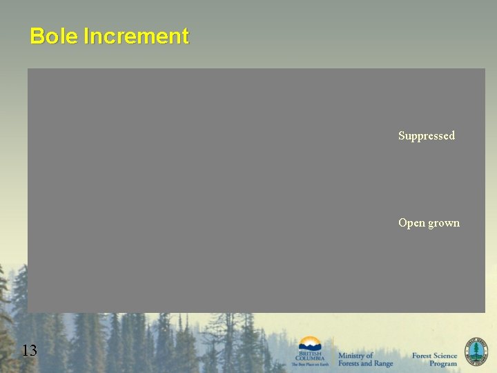 Bole Increment Suppressed Open grown 13 
