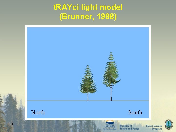 t. RAYci light model (Brunner, 1998) North 15 South 