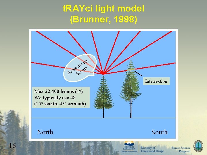 t. RAYci light model (Brunner, 1998) , up e m m ttie a Be