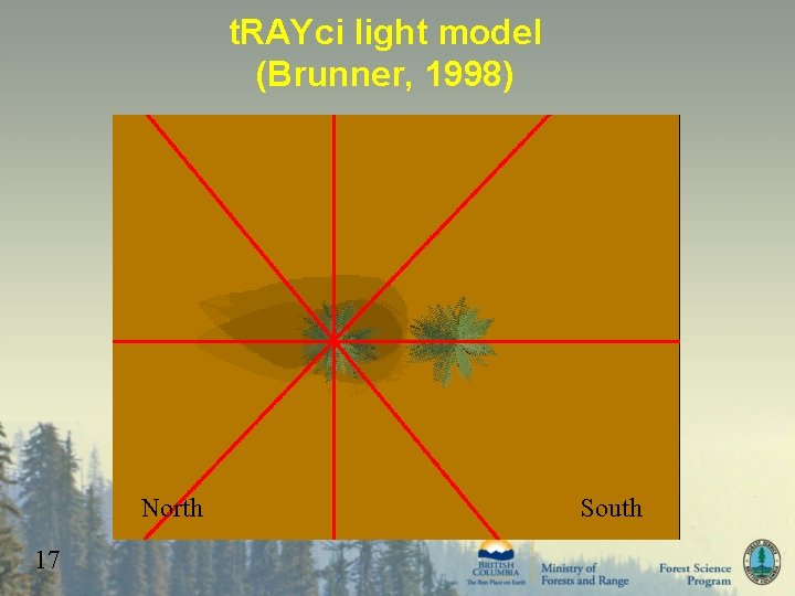 t. RAYci light model (Brunner, 1998) North 17 South 