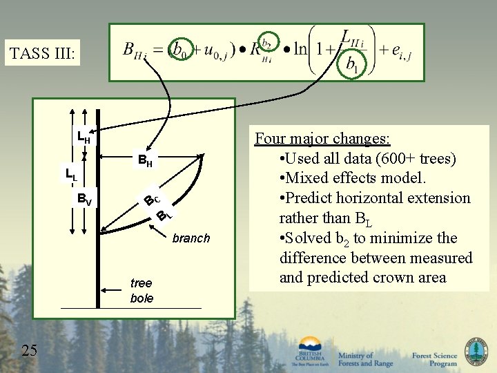 TASS III: LH LL BV BH BC BL branch tree bole 25 Four major