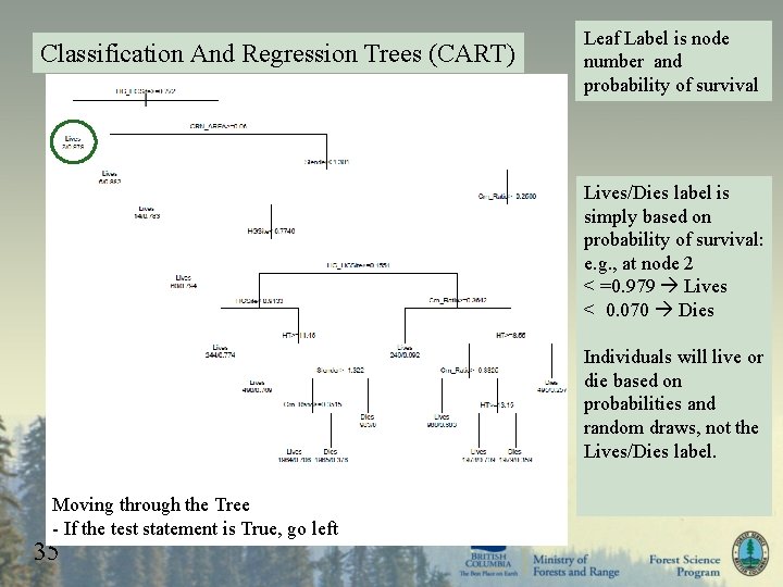 Classification And Regression Trees (CART) Leaf Label is node number and probability of survival