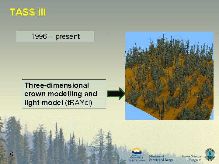 TASS III 1996 – present Three-dimensional crown modelling and light model (t. RAYci) 8