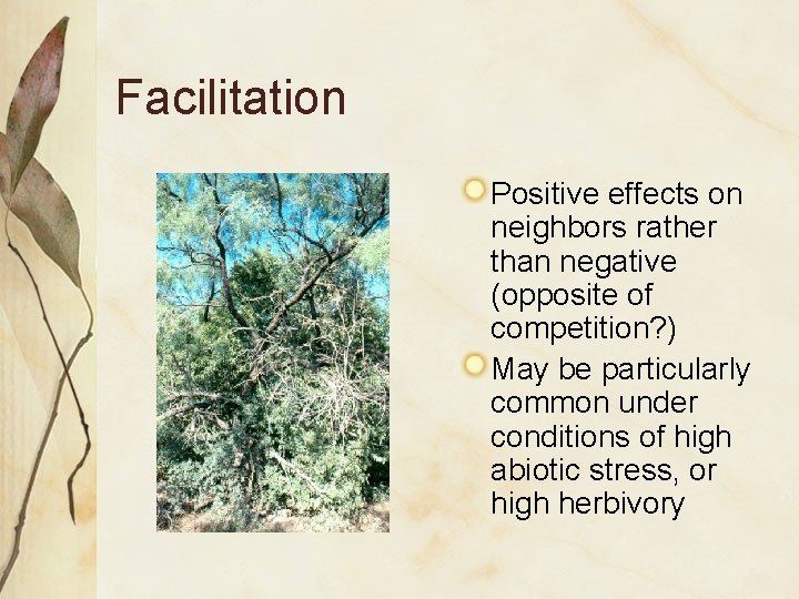 Facilitation Positive effects on neighbors rather than negative (opposite of competition? ) May be