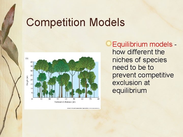 Competition Models Equilibrium models how different the niches of species need to be to