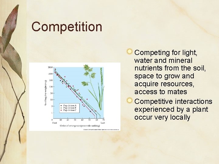 Competition Competing for light, water and mineral nutrients from the soil, space to grow