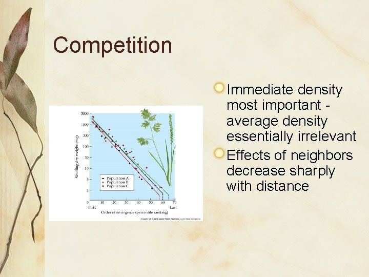 Competition Immediate density most important average density essentially irrelevant Effects of neighbors decrease sharply