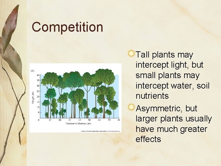Competition Tall plants may intercept light, but small plants may intercept water, soil nutrients