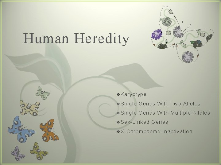 Human Heredity 7 v Karyotype v Single Genes With Two Alleles v Single Genes