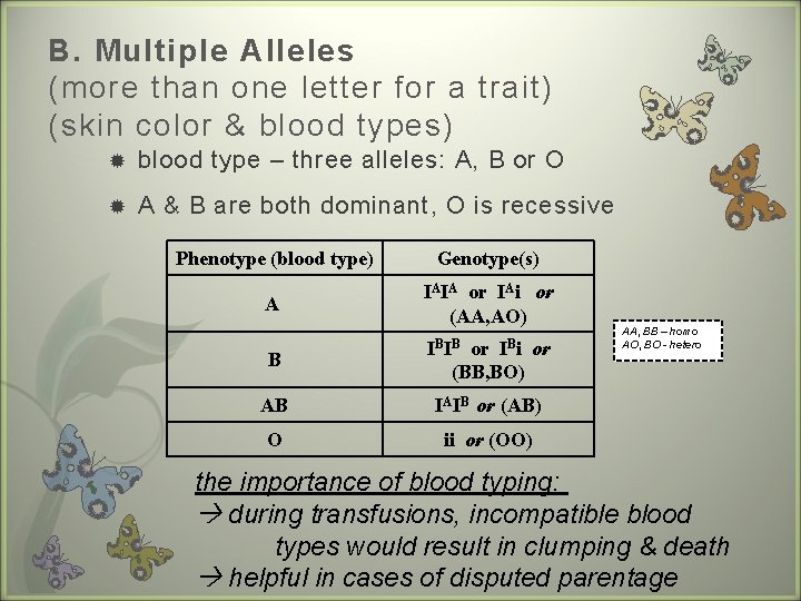 B. Multiple Alleles (more than one letter for a trait) (skin color & blood