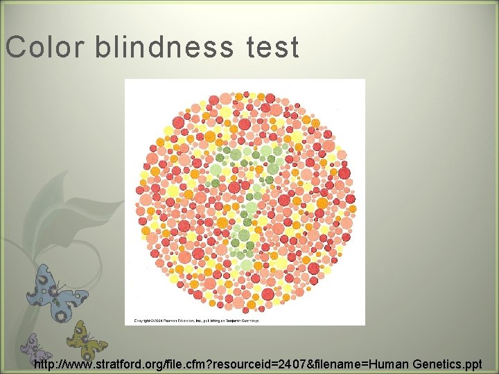 Color blindness test http: //www. stratford. org/file. cfm? resourceid=2407&filename=Human Genetics. ppt 