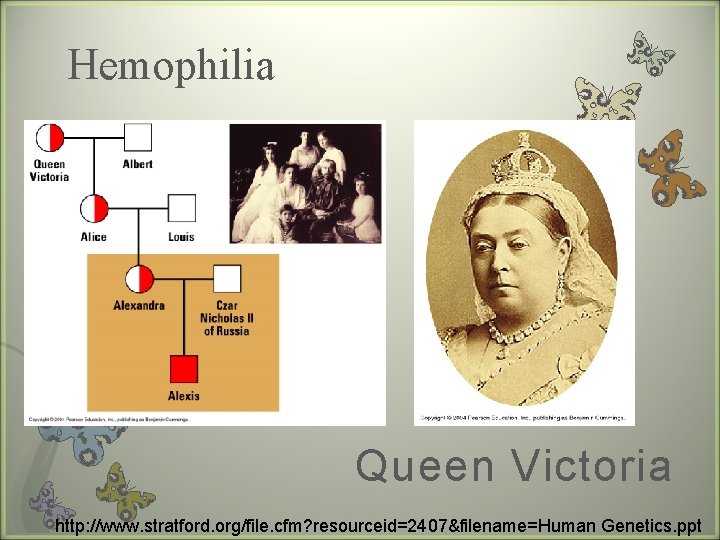 Hemophilia Queen Victoria http: //www. stratford. org/file. cfm? resourceid=2407&filename=Human Genetics. ppt 