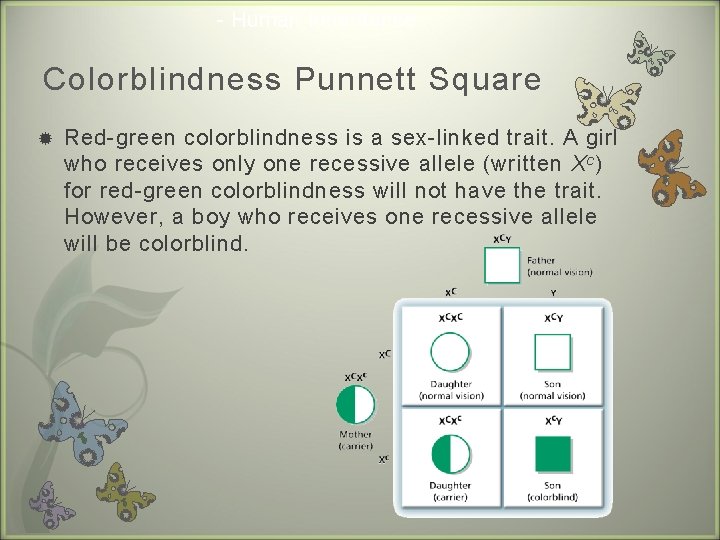 - Human Inheritance Colorblindness Punnett Square Red-green colorblindness is a sex-linked trait. A girl
