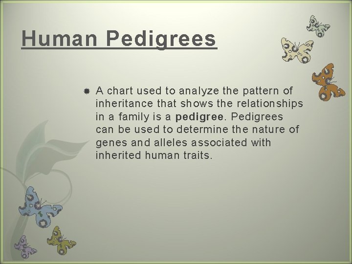 Human Pedigrees A chart used to analyze the pattern of inheritance that shows the