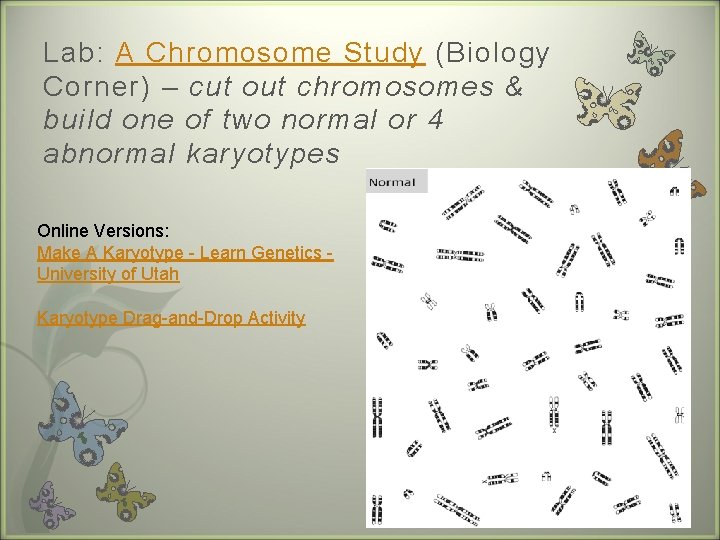 Lab: A Chromosome Study (Biology Corner) – cut out chromosomes & build one of
