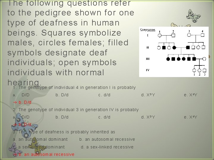 The following questions refer to the pedigree shown for one type of deafness in