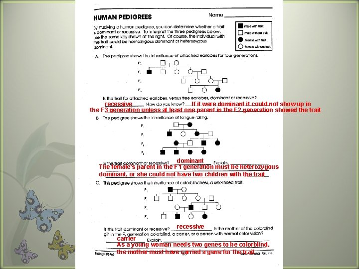 recessive If it were dominant it could not show up in the F 3