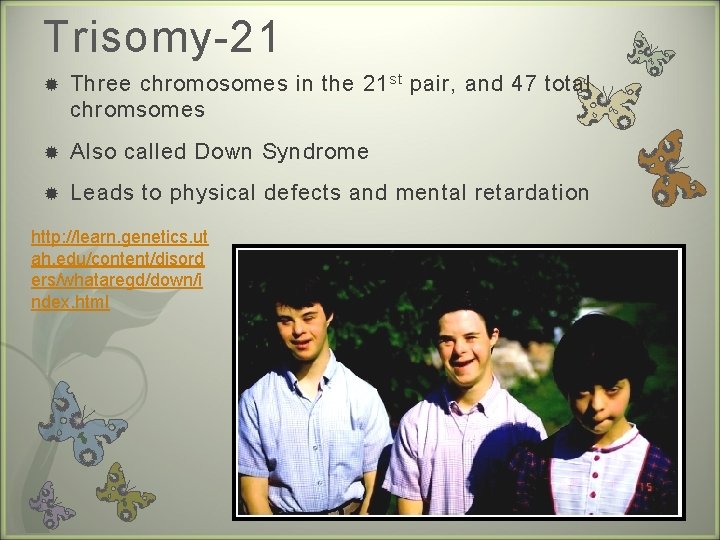 Trisomy-21 Three chromosomes in the 21 st pair, and 47 total chromsomes Also called