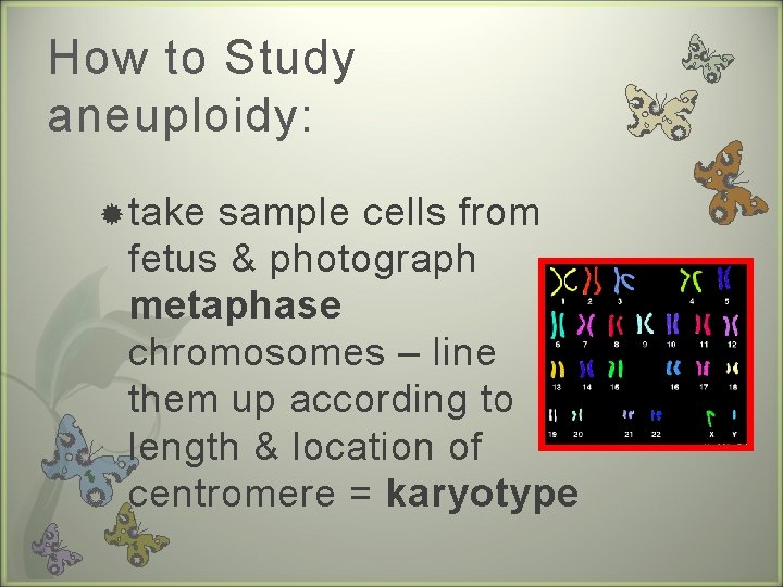 How to Study aneuploidy: take sample cells from fetus & photograph metaphase chromosomes –