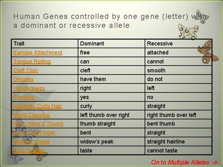 Human Genes controlled by one gene (letter) with a dominant or recessive allele Trait