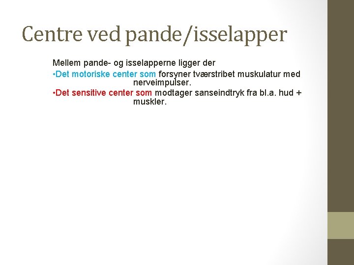 Centre ved pande/isselapper Mellem pande- og isselapperne ligger der • Det motoriske center som