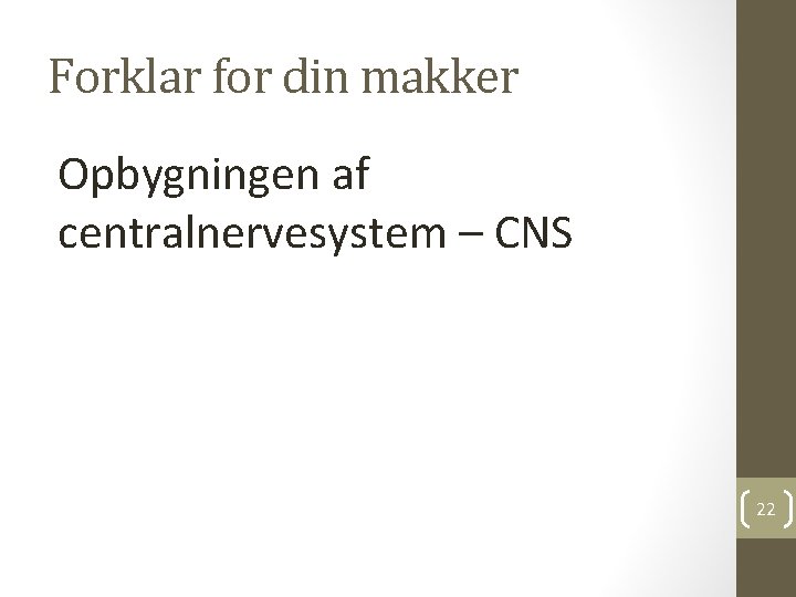 Forklar for din makker Opbygningen af centralnervesystem – CNS 22 