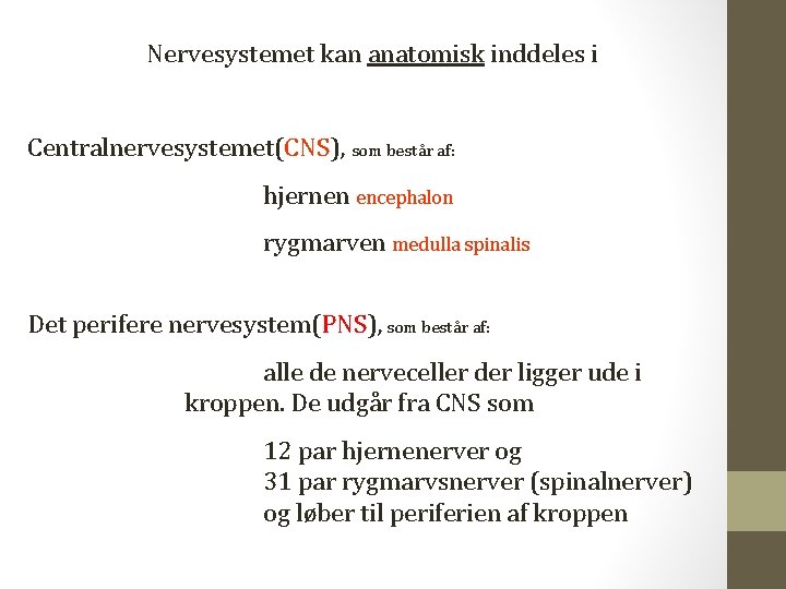 Nervesystemet kan anatomisk inddeles i Centralnervesystemet(CNS), som består af: hjernen encephalon rygmarven medulla spinalis