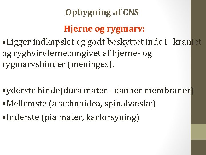 Opbygning af CNS Hjerne og rygmarv: • Ligger indkapslet og godt beskyttet inde i