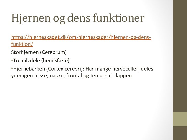 Hjernen og dens funktioner https: //hjerneskadet. dk/om-hjerneskader/hjernen-og-densfunktion/ Storhjernen (Cerebrum) • To halvdele (hemisfære) • Hjernen og dens funktioner https: //hjerneskadet. dk/om-hjerneskader/hjernen-og-densfunktion/ Storhjernen (Cerebrum) • To halvdele (hemisfære) •