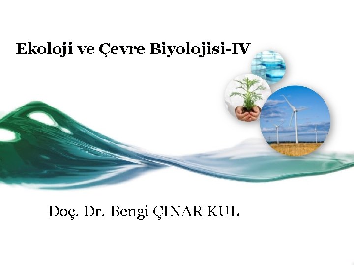 Ekoloji ve Çevre Biyolojisi-IV Doç. Dr. Bengi ÇINAR KUL 