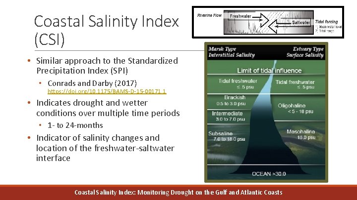 Coastal Salinity Index (CSI) • Similar approach to the Standardized Precipitation Index (SPI) •