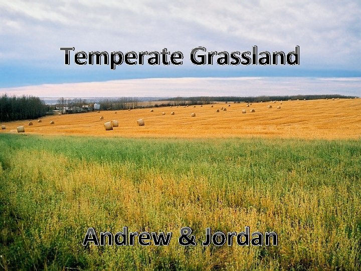 Temperate Grassland Andrew & Jordan 