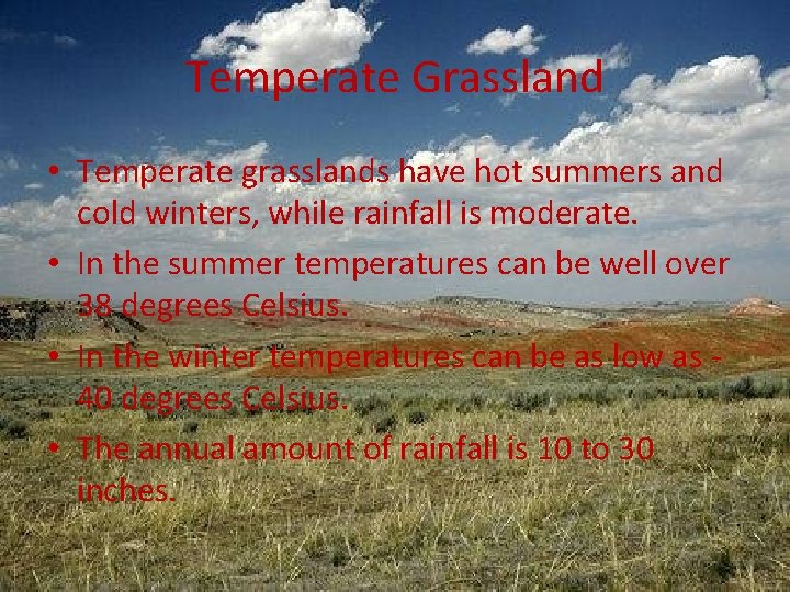 Temperate Grassland • Temperate grasslands have hot summers and cold winters, while rainfall is