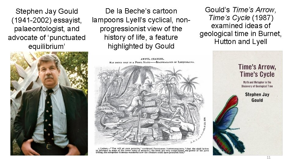 De la Beche’s cartoon Stephen Jay Gould (1941 -2002) essayist, lampoons Lyell’s cyclical, nonprogressionist