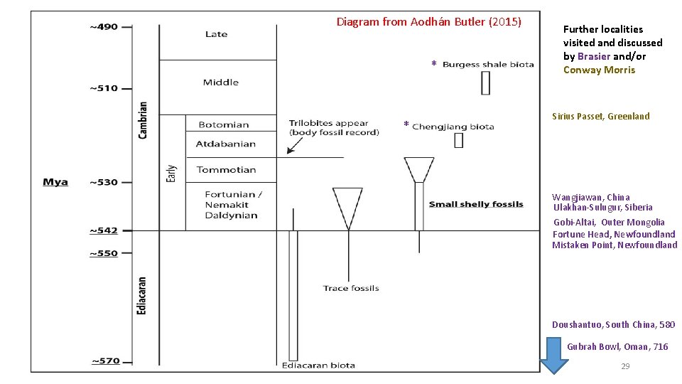 Diagram from Aodhán Butler (2015) * * Further localities visited and discussed by Brasier