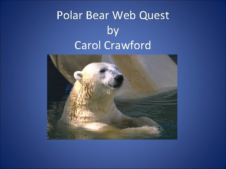 Polar Bear Web Quest by Carol Crawford 