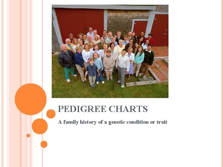 PEDIGREE CHARTS A family history of a genetic condition or trait 