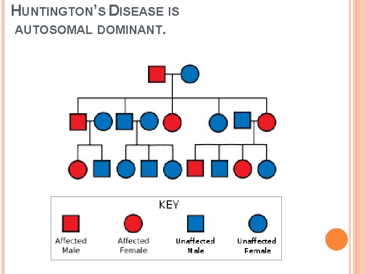 HUNTINGTON’S DISEASE IS AUTOSOMAL DOMINANT. 