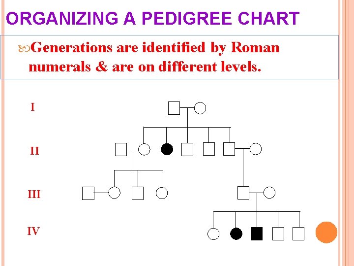 ORGANIZING A PEDIGREE CHART Generations are identified by Roman numerals & are on different