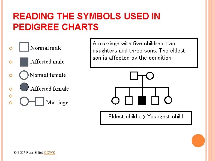 READING THE SYMBOLS USED IN PEDIGREE CHARTS Normal male Affected male Normal female Affected