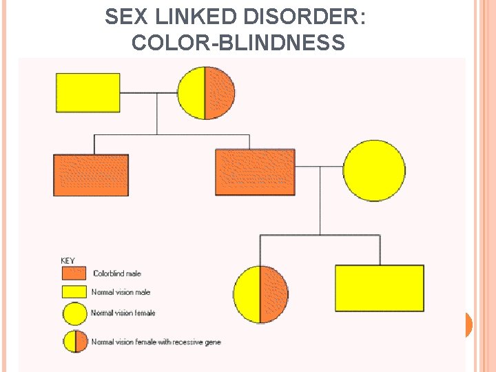 SEX LINKED DISORDER: COLOR-BLINDNESS 