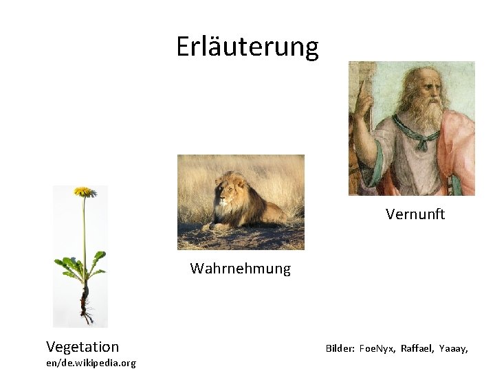 Erläuterung Vernunft Wahrnehmung Vegetation en/de. wikipedia. org Bilder: Foe. Nyx, Raffael, Yaaay, Erläuterung Vernunft Wahrnehmung Vegetation en/de. wikipedia. org Bilder: Foe. Nyx, Raffael, Yaaay,