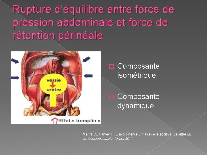 Rupture d’équilibre entre force de pression abdominale et force de rétention périnéale � Composante