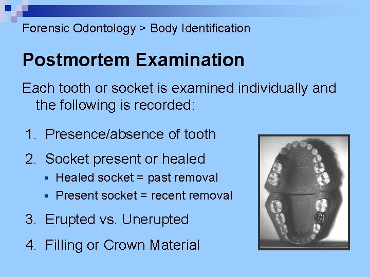 Forensic Odontology > Body Identification Postmortem Examination Each tooth or socket is examined individually