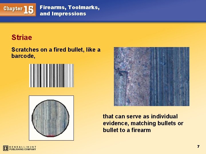 Firearms, Toolmarks, and Impressions Striae Scratches on a fired bullet, like a barcode, that