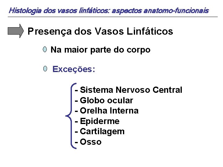 Histologia dos vasos linfáticos: aspectos anatomo-funcionais Presença dos Vasos Linfáticos Na maior parte do