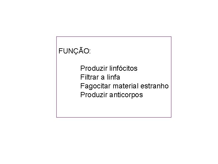  FUNÇÃO: Produzir linfócitos Filtrar a linfa Fagocitar material estranho Produzir anticorpos 