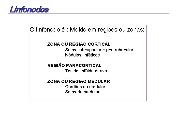 Linfonodos O linfonodo é dividido em regiões ou zonas: ZONA OU REGIÃO CORTICAL Seios