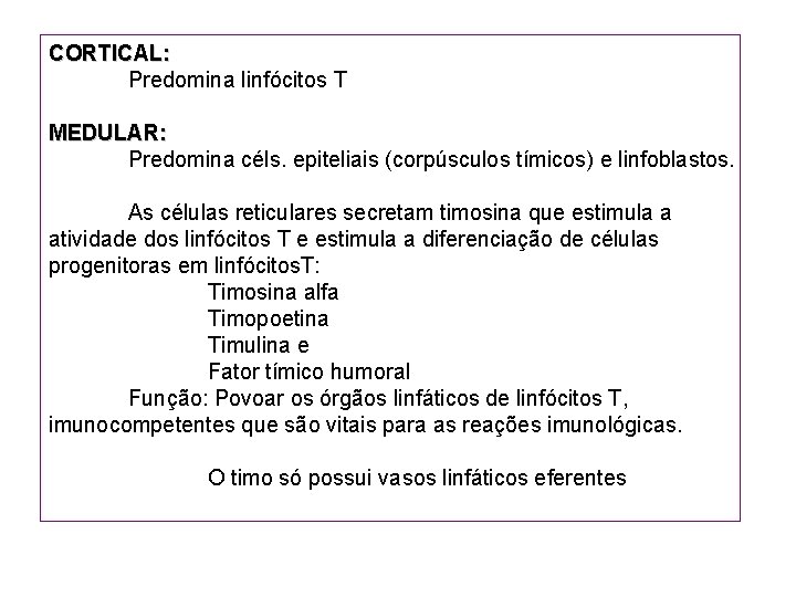 CORTICAL: Predomina linfócitos T MEDULAR: Predomina céls. epiteliais (corpúsculos tímicos) e linfoblastos. As células