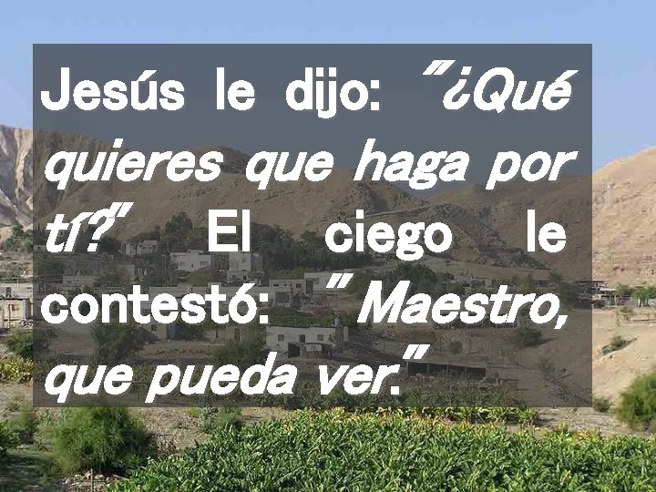 Jesús le dijo: "¿Qué quieres que haga por tí? " El ciego le contestó: